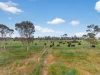 205 Freshwaters Road, Kilmany, Vic 3851-Image