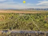 207 Forestry Road, Bluewater QLD 4818-Image