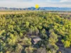 207 Forestry Road, Bluewater QLD 4818-Image
