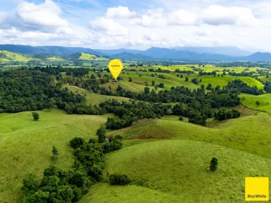 2071 Palmerston Highway, East Palmerston, Qld 4860
