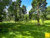 2071 Palmerston Highway, East Palmerston, Qld 4860-Image