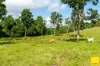 2071 Palmerston Highway, East Palmerston, Qld 4860-Image