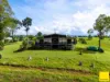 2071 Palmerston Highway, East Palmerston, Qld 4860-Image