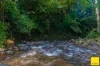 2071 Palmerston Highway, East Palmerston, Qld 4860-Image