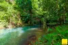 2071 Palmerston Highway, East Palmerston, Qld 4860-Image