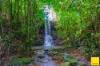 2071 Palmerston Highway, East Palmerston, Qld 4860-Image