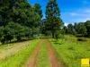 2071 Palmerston Highway, East Palmerston, Qld 4860-Image