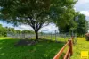 2071 Palmerston Highway, East Palmerston, Qld 4860-Image