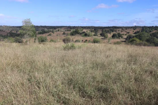 20963 Burnett Highway, Mundubbera QLD 4626-Image