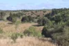 20963 Burnett Highway, Mundubbera QLD 4626-Image