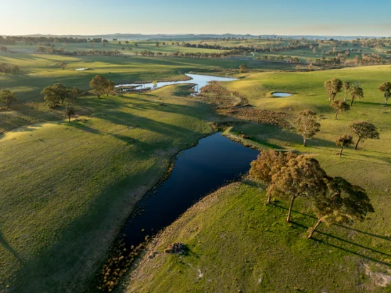 2097 Mitchell Highway, Vittoria, NSW 2799
