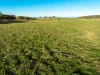 2097 Mitchell Highway, Vittoria, NSW 2799-Image