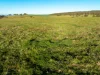 2097 Mitchell Highway, Vittoria, NSW 2799-Image