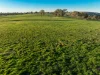 2097 Mitchell Highway, Vittoria, NSW 2799-Image