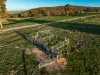 2097 Mitchell Highway, Vittoria, NSW 2799-Image