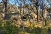 2097 Mitchell Highway, Vittoria, NSW 2799-Image