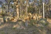 2097 Mitchell Highway, Vittoria, NSW 2799-Image