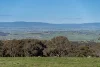 2097 Mitchell Highway, Vittoria, NSW 2799-Image