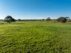 2097 Mitchell Highway, Vittoria, NSW 2799-Image