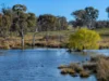 2097 Mitchell Highway, Vittoria, NSW 2799-Image