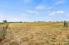 21 Malbec Drive, Murrumbateman, NSW 2582-Image