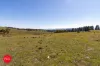 21 O'Hanlon Place, Carwoola, NSW 2620-Image