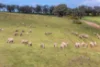 21, St Ives Road, Red Creek, SA 5255-Image