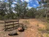 21, Wheelhouse Road, Wehla, Vic 3518-Image
