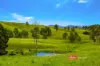 2121 Salisbury Road, Salisbury via, Dungog, NSW 2420