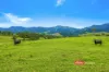 2121 Salisbury Road, Salisbury via, Dungog, NSW 2420-Image