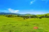 2121 Salisbury Road, Salisbury via, Dungog, NSW 2420-Image