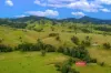 2121 Salisbury Road, Salisbury via, Dungog, NSW 2420-Image