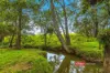 2121 Salisbury Road, Salisbury via, Dungog, NSW 2420-Image