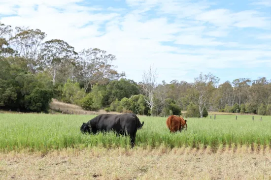 213 Kings Hill Road, Highgrove, Qld 4352