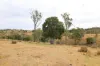 213 Kings Hill Road, Highgrove, Qld 4352-Image