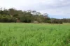 213 Kings Hill Road, Highgrove, Qld 4352-Image