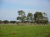 2160 Bass Highway, Bass, Vic 3991-Image