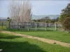 2160 Bass Highway, Bass, Vic 3991-Image