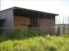 2160 Bass Highway, Bass, Vic 3991-Image