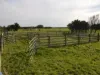 2160 Bass Highway, Bass, Vic 3991-Image