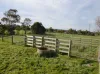 2160 Bass Highway, Bass, Vic 3991-Image