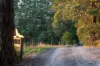 2160 Meeniyan -Promontory Road, Fish Creek VIC 3959-Image