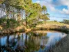 2160 Meeniyan -Promontory Road, Fish Creek VIC 3959-Image