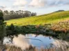 2160 Meeniyan -Promontory Road, Fish Creek VIC 3959-Image
