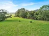 2160 Meeniyan -Promontory Road, Fish Creek VIC 3959-Image