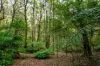 2160 Meeniyan -Promontory Road, Fish Creek VIC 3959-Image