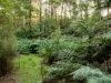 2160 Meeniyan -Promontory Road, Fish Creek VIC 3959-Image