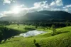 2165 Waterfall Way, Thora, NSW 2454