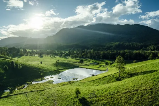 2165 Waterfall Way, Thora, NSW 2454