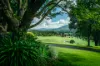 2165 Waterfall Way, Thora, NSW 2454-Image